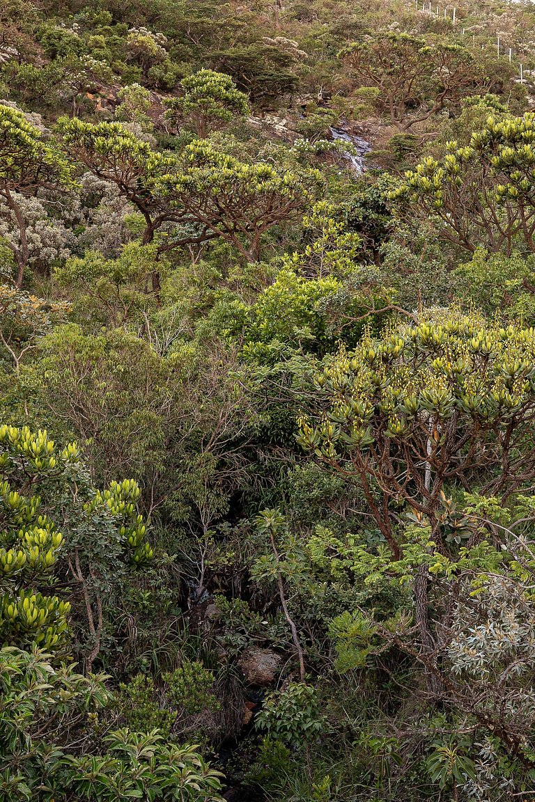 Cabana Zé da Lapinha - Recanto